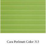 Cara-perlmutt-color 313